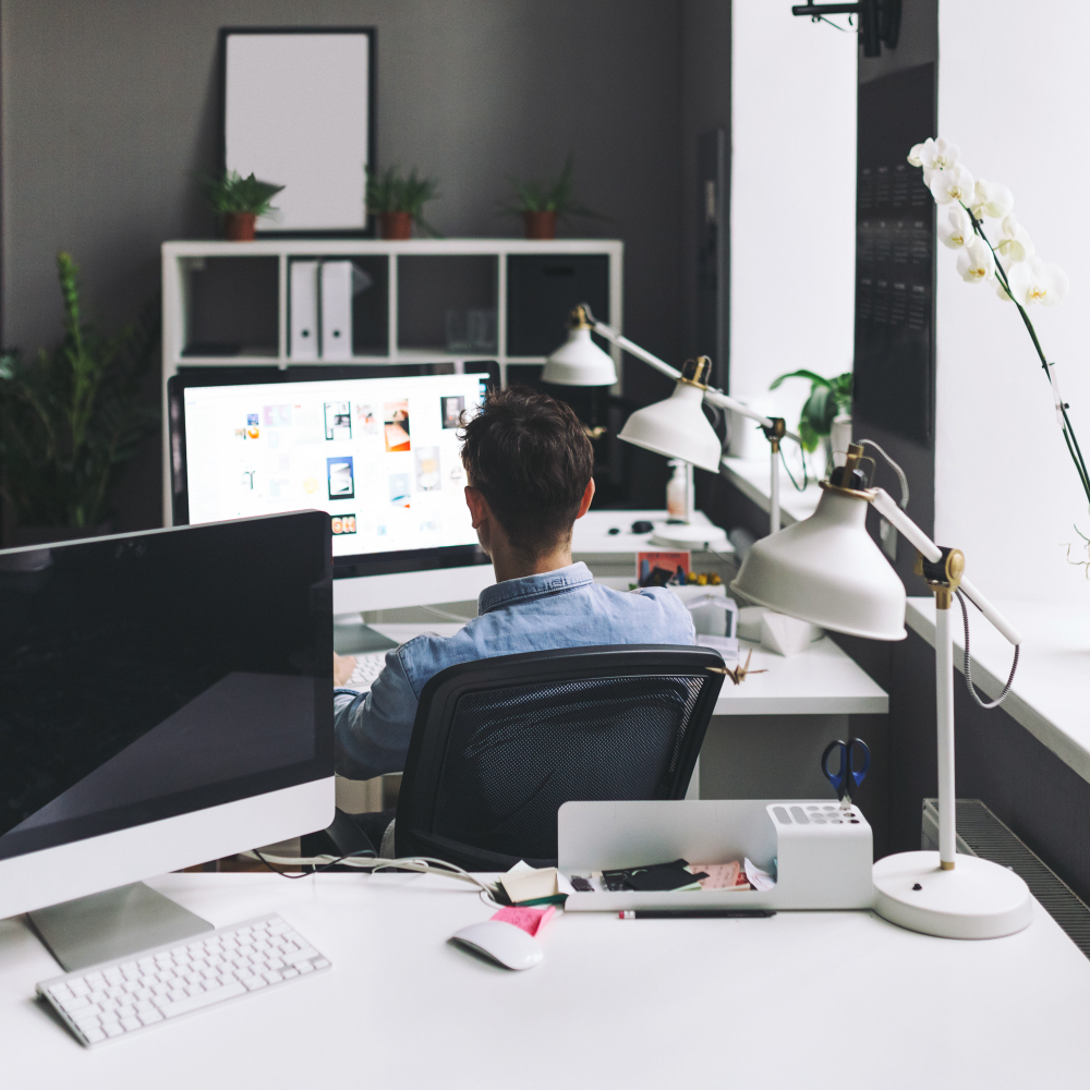 WordPress website creation 3