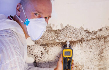 Supreme Mold Testing